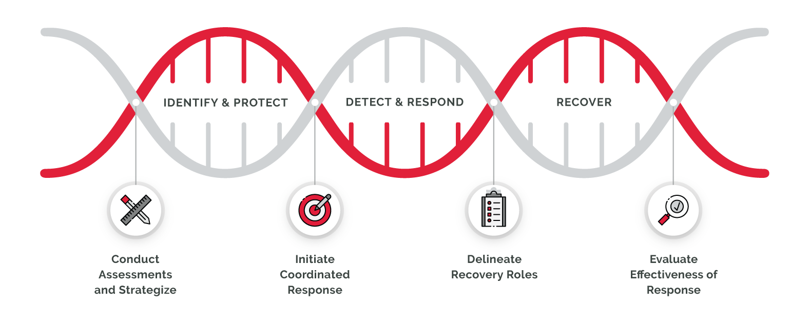 DNA strand showing the 3 steps of the Cyber Nexus Approach. These steps include Identify and Protect, Detect and Respond, and Recover. The sub-steps include Conduct Assessments and Strategize, Initiate Coordinated Response, Delineate Recovery Roles, and Evaluate Effectiveness of Response. 